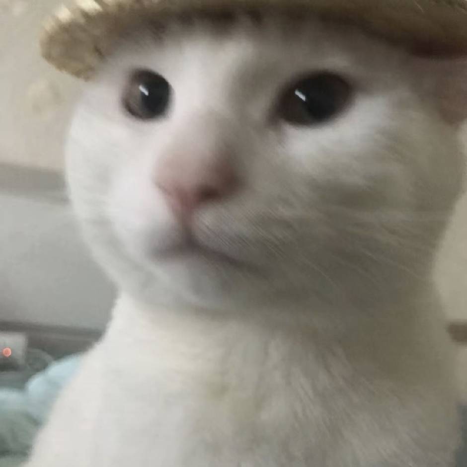 jiashuhui
